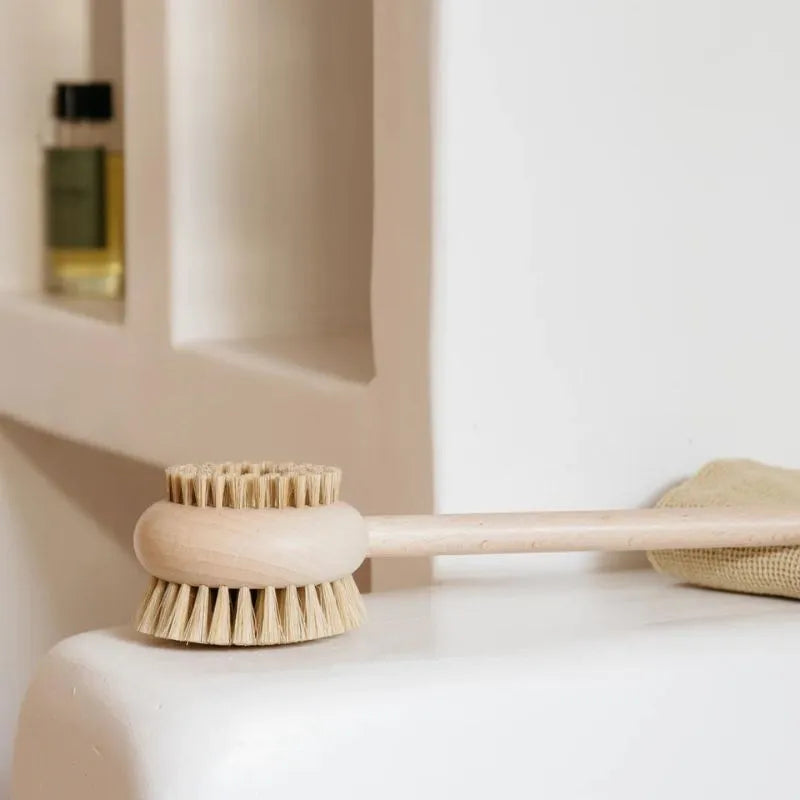 brosse-dos-hetre