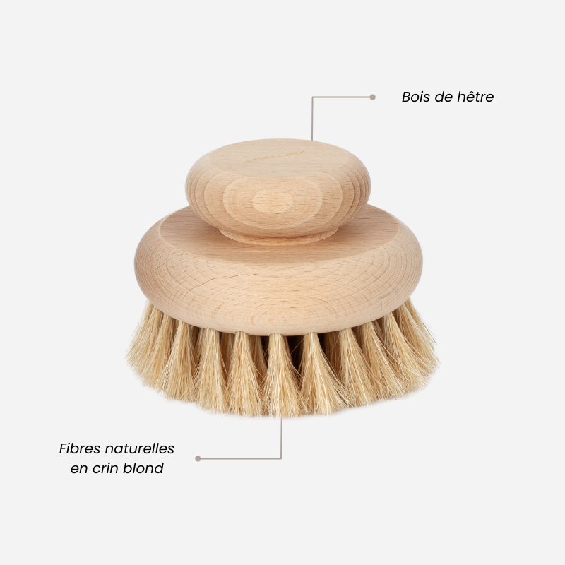 Grande brosse corps