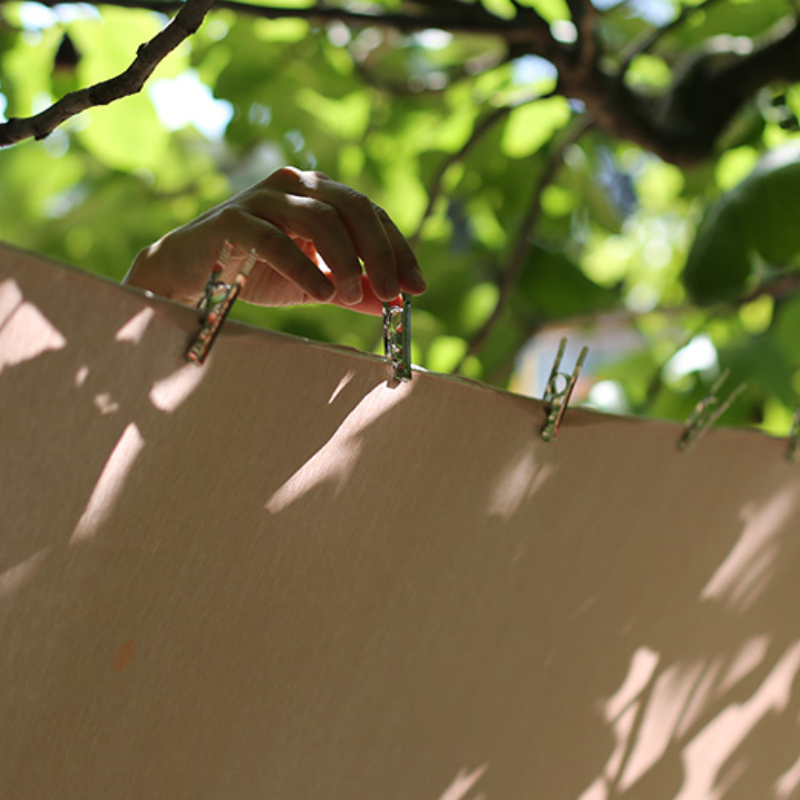 pince-linge-inox-ete