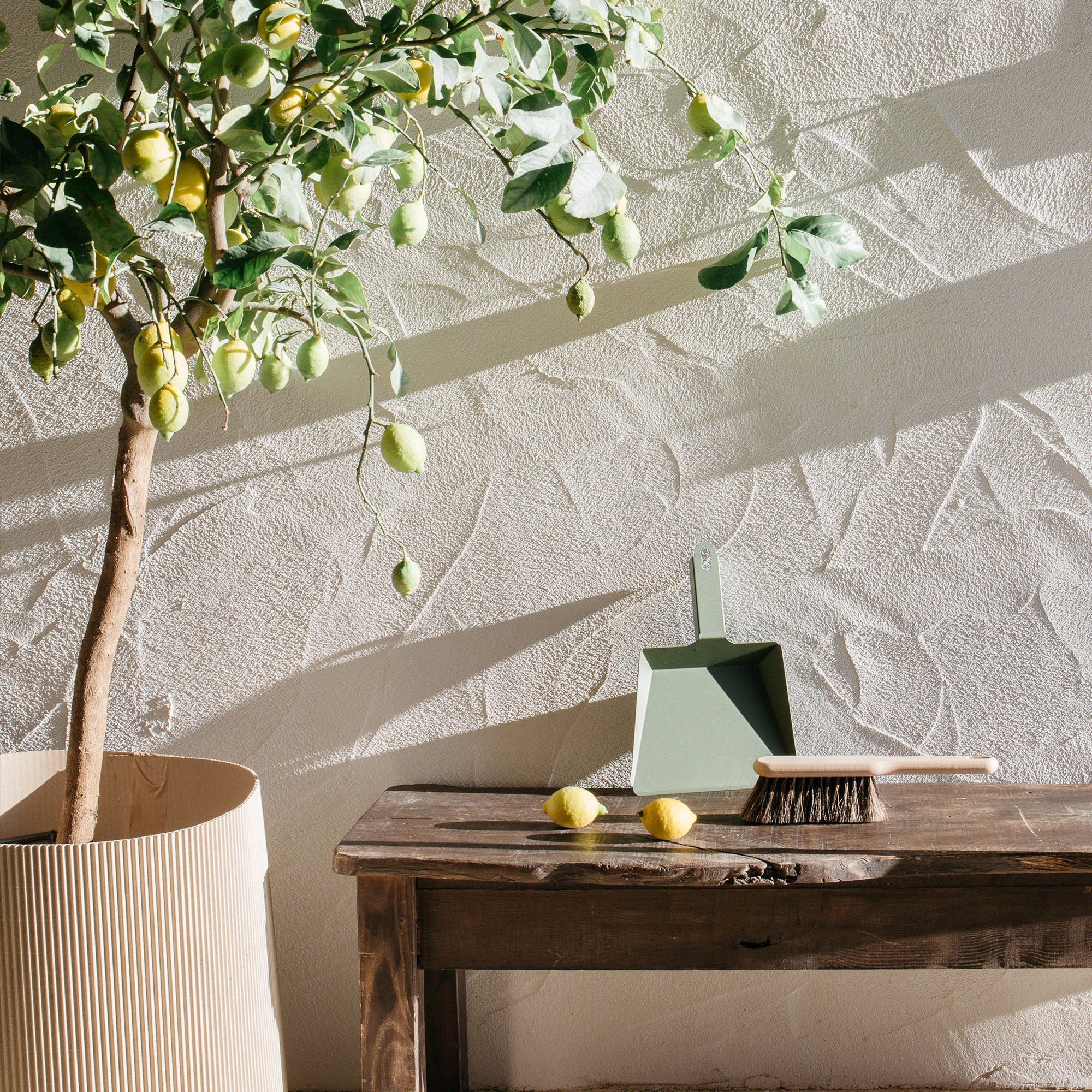 Coffret pelle et balayette hêtre Craft