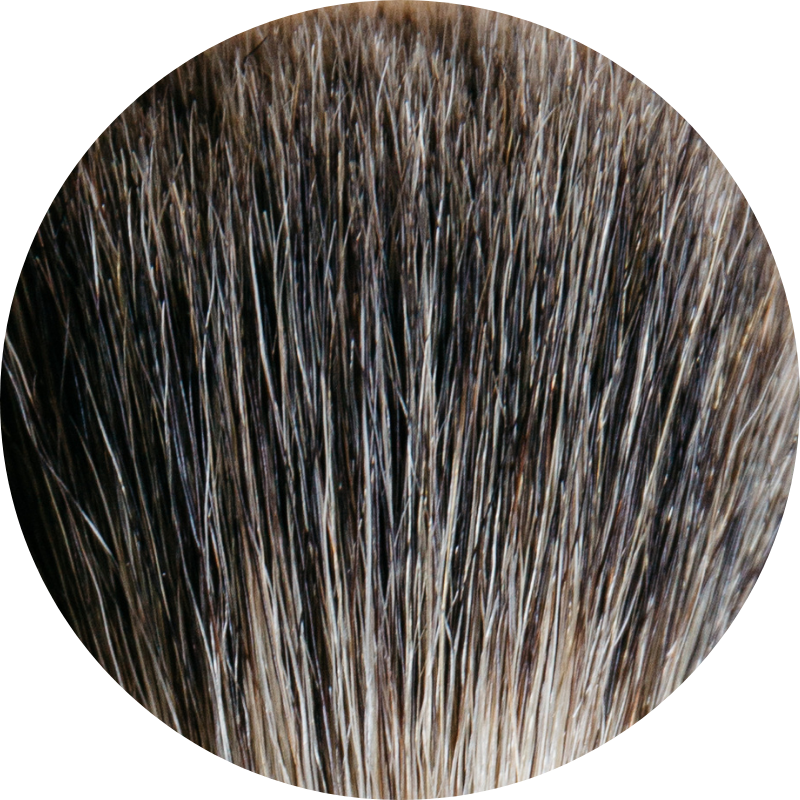 poils-blaireau