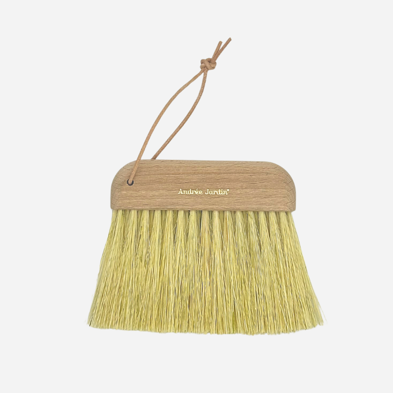 Brosse de plage