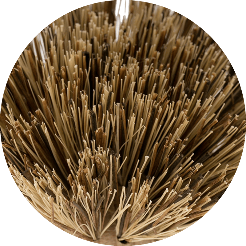 focus-fibres vegetales